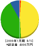 高橋電機工業所 貸借対照表 2008年1月期