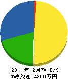 野中水道 貸借対照表 2011年12月期