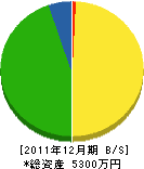 松本電気工事 貸借対照表 2011年12月期