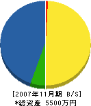 石塚工業 貸借対照表 2007年11月期