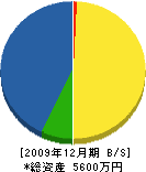 藤山庭園 貸借対照表 2009年12月期