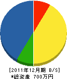 島田造園 貸借対照表 2011年12月期