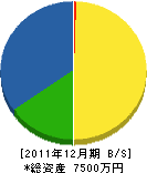 ひかり電気商会 貸借対照表 2011年12月期