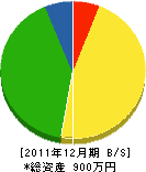 松本電気商会 貸借対照表 2011年12月期
