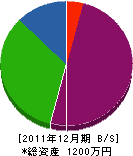 杉田建設 貸借対照表 2011年12月期