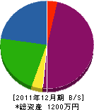 渡辺電気商会 貸借対照表 2011年12月期