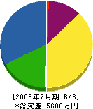 小嶋建設 貸借対照表 2008年7月期