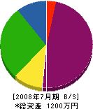青木石濱 貸借対照表 2008年7月期
