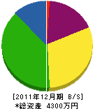 川武タタミ店 貸借対照表 2011年12月期