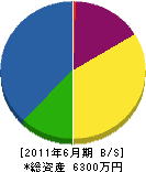 冨沢工業 貸借対照表 2011年6月期