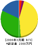 ニシジマ 貸借対照表 2008年3月期