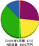 竹重建設 貸借対照表 2008年6月期