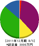 岩崎製工 貸借対照表 2011年12月期