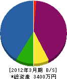 坂井商店 貸借対照表 2012年3月期