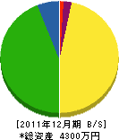 山之内造園 貸借対照表 2011年12月期