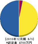 松花園 貸借対照表 2010年12月期