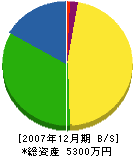 鈴木鉄工場 貸借対照表 2007年12月期