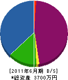 松野建材店 貸借対照表 2011年6月期
