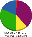 齋藤設備工業 貸借対照表 2009年3月期