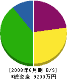 早川建設 貸借対照表 2008年6月期