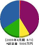 佐藤工務店 貸借対照表 2008年4月期