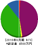 津崎建設 貸借対照表 2010年6月期