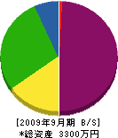 佐藤造園 貸借対照表 2009年9月期
