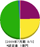 廣瀬建設 貸借対照表 2009年7月期
