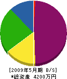 葉山ブロック 貸借対照表 2009年5月期