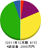 彩創 貸借対照表 2011年12月期