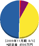 十和田電気通信工業 貸借対照表 2009年11月期