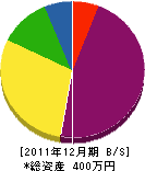 潮崎電気 貸借対照表 2011年12月期