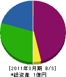 川端電気通信工事 貸借対照表 2011年3月期
