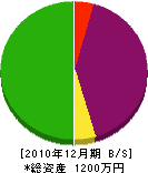 恵松園 貸借対照表 2010年12月期