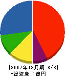 坂井製瓦工場 貸借対照表 2007年12月期