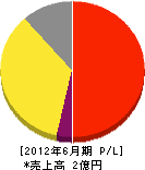 日本システムサービス 損益計算書 2012年6月期