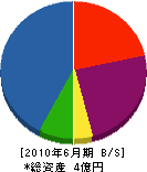 谷川工業 貸借対照表 2010年6月期