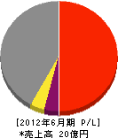 赤坂建設 損益計算書 2012年6月期
