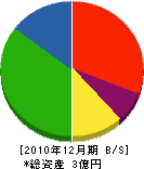 石川テント 貸借対照表 2010年12月期