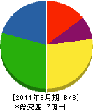 丸三大信電気 貸借対照表 2011年9月期