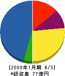 松本組 貸借対照表 2009年1月期
