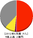 廣島 損益計算書 2012年6月期