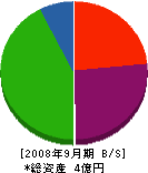 アケノ 貸借対照表 2008年9月期