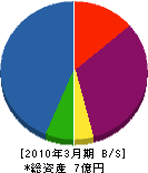 三楽ルーフシステム 貸借対照表 2010年3月期