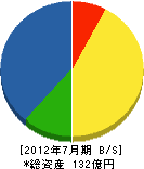渡辺組 貸借対照表 2012年7月期