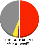 千代田電興 損益計算書 2010年6月期