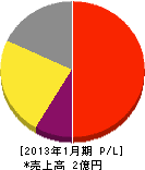 宮崎ソリューションネットワーク 損益計算書 2013年1月期