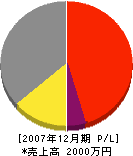 伊藤建設 損益計算書 2007年12月期