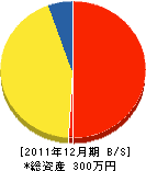 小林土建 貸借対照表 2011年12月期