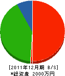 TERASAKI 貸借対照表 2011年12月期 TERASAKI 貸借対照表 2011年12月期